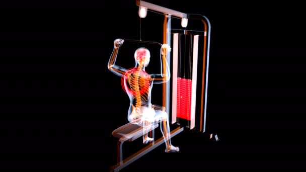 Animering Anatomi Röntgenman Som Tränar — Stockvideo