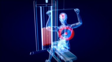 Bir röntgencinin anatomisinin 3 boyutlu animasyonu 