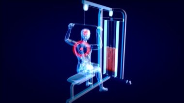 Bir röntgencinin anatomisinin 3 boyutlu animasyonu 