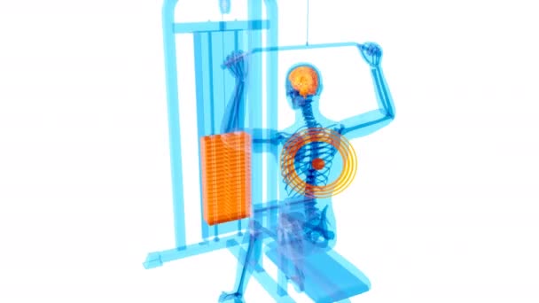 Анимация Анатомии Рентгеновского Человека — стоковое видео