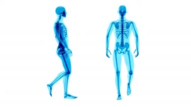 Baş ağrısı, insan ve beyin röntgeni, insan anatomisi, 3 boyutlu animasyon 