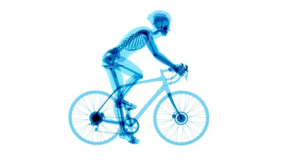 Anatomi Pengendara Sepeda Sinar — Stok Foto