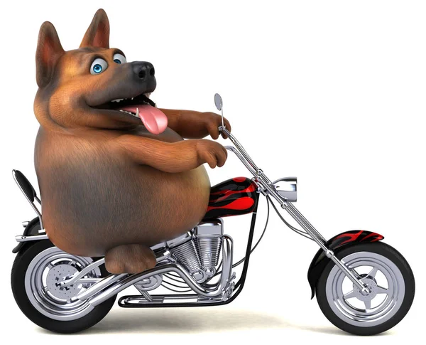 Motosikletli Alman Çoban Köpeği Görüntü — Stok fotoğraf