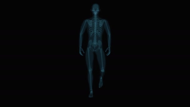 Nsan Röntgeni Insan Anatomisi Yüz Tanıma Boyutlu Animasyon — Stok video