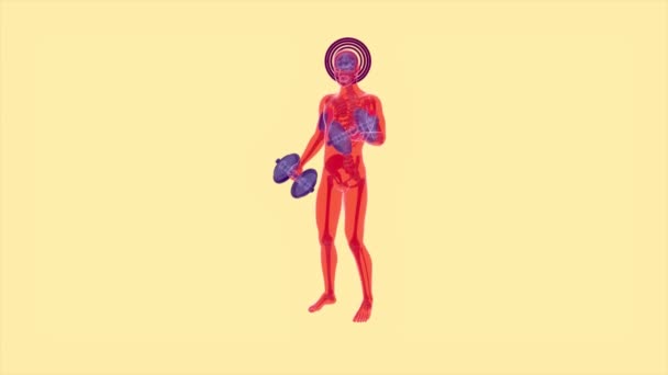 Anatomy Ray Man Doing Exercise — Stock videók