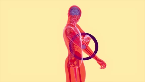 肘部疼痛3D动画 — 图库视频影像