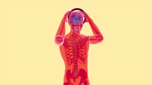 Cefalea Rayos Humanos Cerebrales Anatomía Humana Animación — Vídeos de Stock