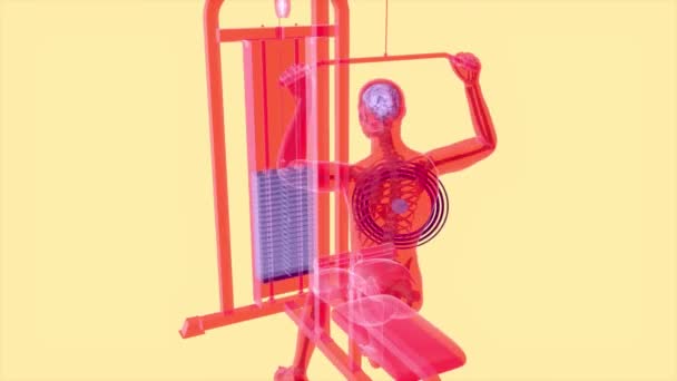 Animation Einer Anatomie Eines Röntgenmenschen Bei Der Arbeit — Stockvideo