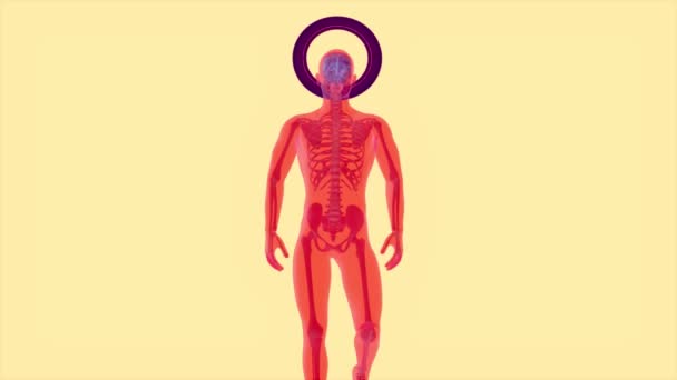 Головная Боль Рентген Мозга Человека Анатомия Человека Анимация — стоковое видео