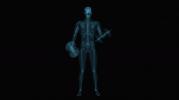 演習を行うX線男の解剖学の3Dアニメーション — ストック動画
