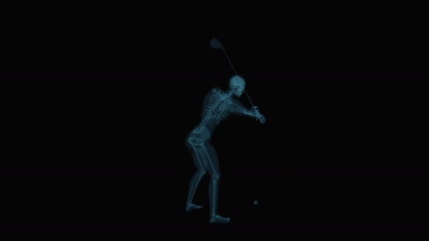 Homme Jouant Golf Anatomie Animation — Video