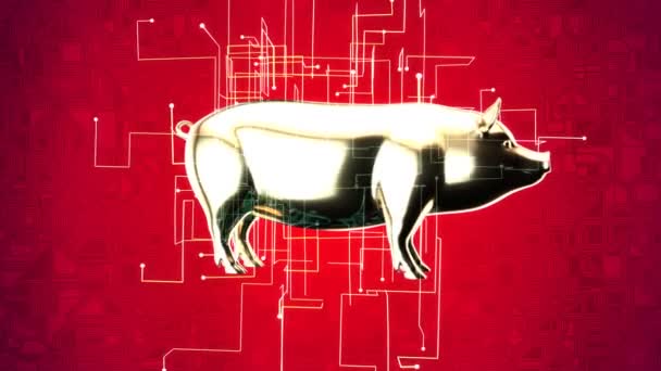 Pig Icon Abstract Background — Stock Video