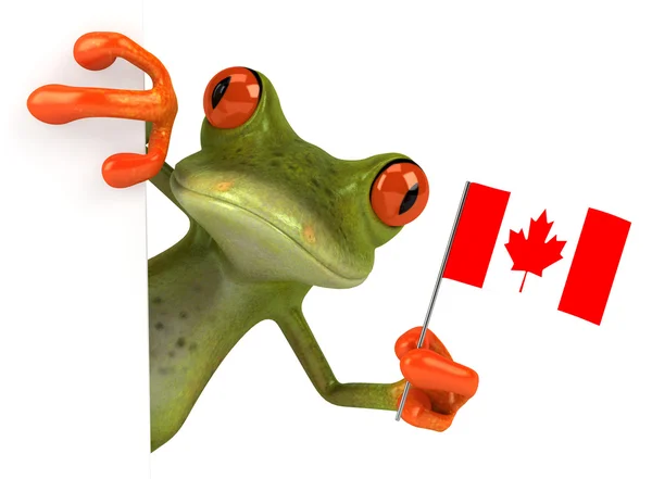 Fun frog with Canadian flag — Stock Photo, Image