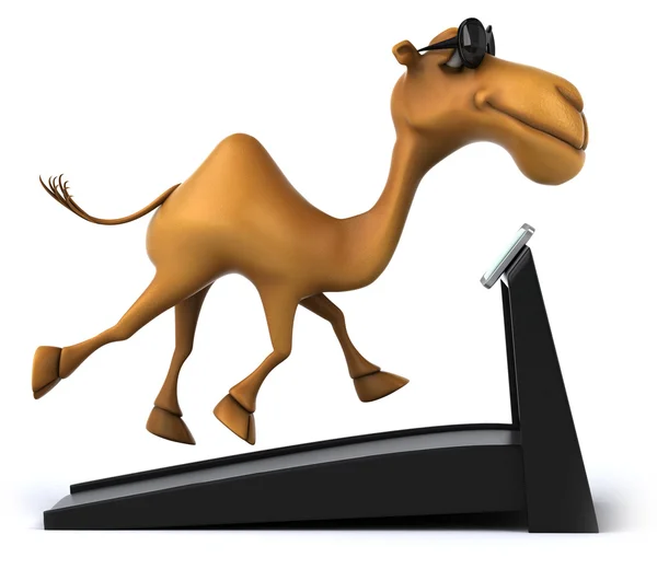 Fun camel on treadmill — Stock Photo, Image