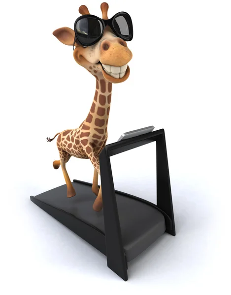 Fun giraffe on treadmill — Stock Photo, Image