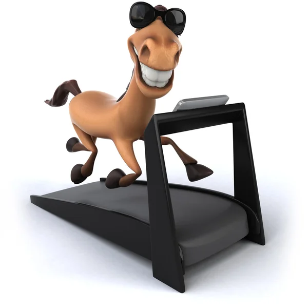 Веселий кінь на біговій доріжці — стокове фото