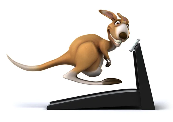 Kangaroo on treadmill — Stock Photo, Image