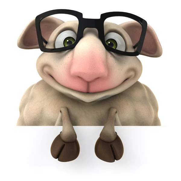Fun sheep in glasses — Stock Photo, Image