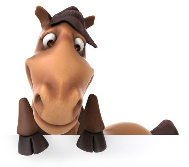 Yönetim Kurulu ile at