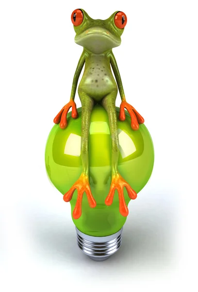 Frosch mit Glühbirne — Stockfoto
