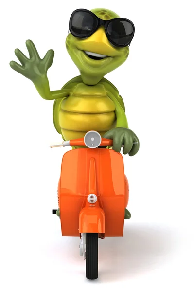 Turtle with scooter — Stock Photo, Image