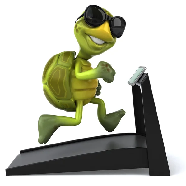 Turtle on treadmill — Stock Photo, Image