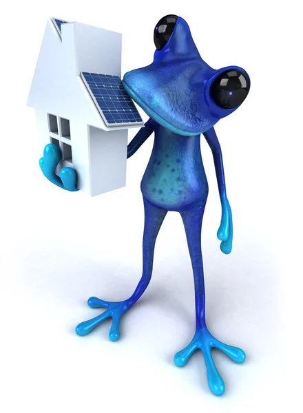 Frog with house — Stock Photo, Image