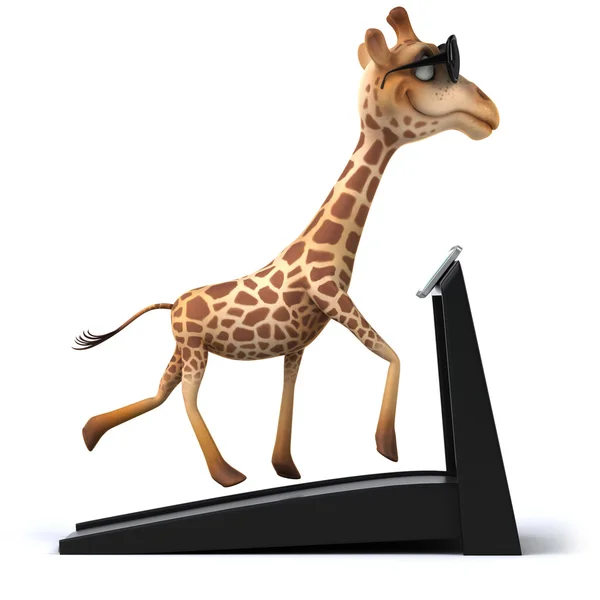 Žirafa na běžecký pás — Stock fotografie