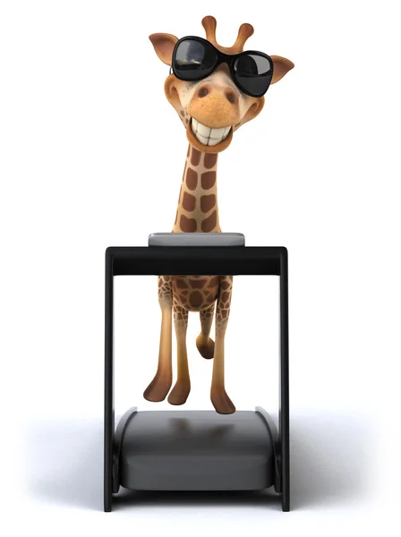 Giraffe op loopband — Stockfoto