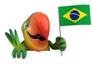 Brezilya bayrağı ile papağan