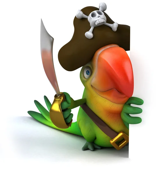 Pirat papegoja — Stockfoto