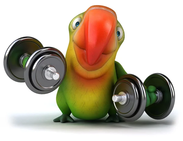 Parrot with dumbbells — Stock Photo, Image