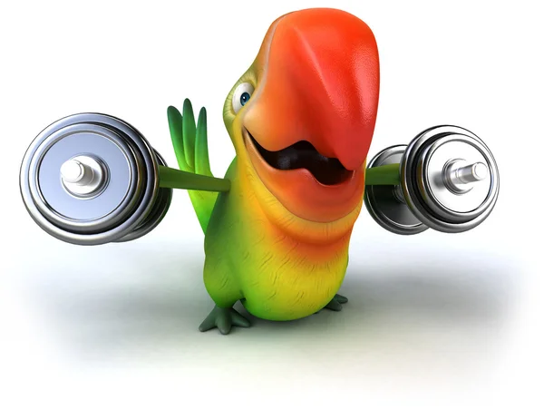 Parrot with dumbbells — Stock Photo, Image