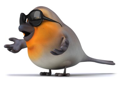 Robin ile güneş gözlüğü