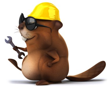 Kask içinde eğlenceli kunduz