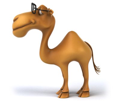 Eğlenceli deve içinde gözlük