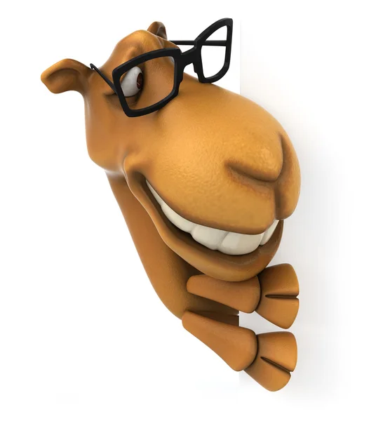 Divertido camello en gafas — Foto de Stock