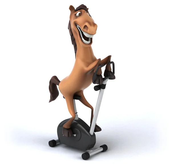 Fun horse in gym — Stock Photo, Image