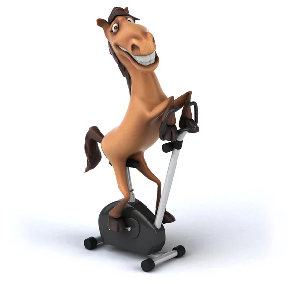 Fun horse in gym — Stock Photo, Image