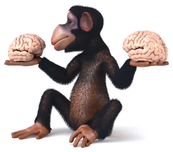 Divertido mono con cerebro en las manos — Foto de Stock