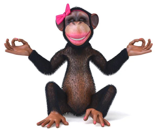 Fun monkey in yoga pose — Stock Photo, Image