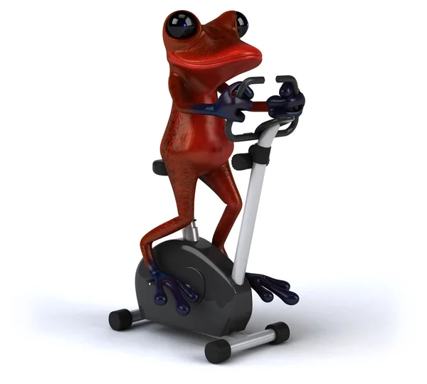 Fun frog training on exercise bike — Stock Photo, Image