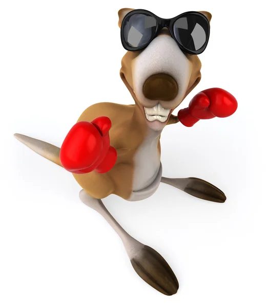 Fun kangaroo with red boxing gloves — Stock Photo, Image