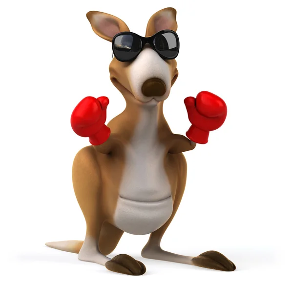 Boxing kangaroo Stock Photos, Royalty Free Boxing kangaroo Images