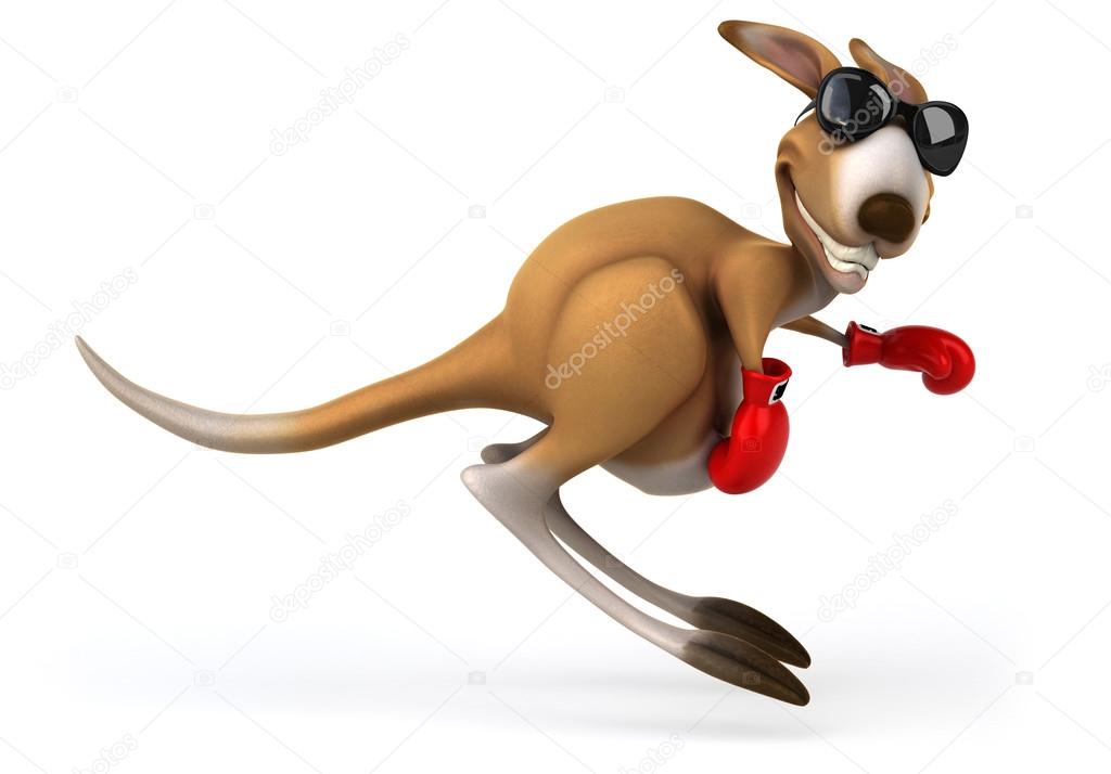 Fun kangaroo with red boxing gloves Stock Photo by
