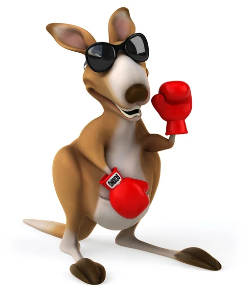 Весёлый кенгуру в боксёрских перчатках — стоковое фото