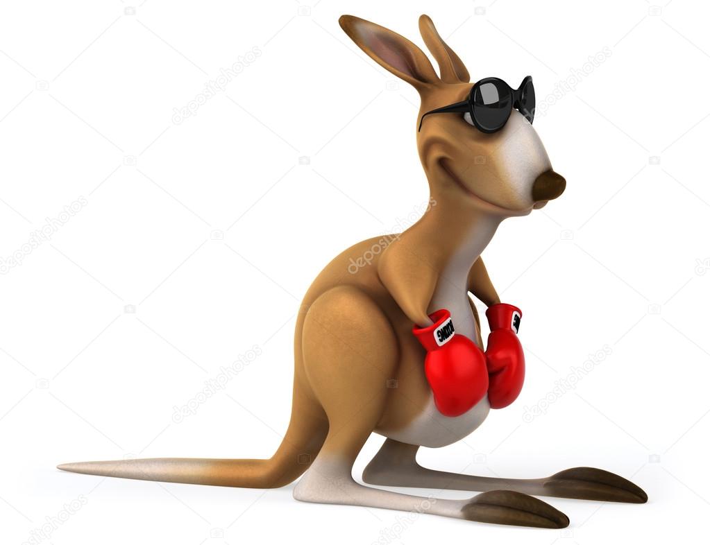 Picture kangaroo with boxing gloves Fun kangaroo in boxing gloves
