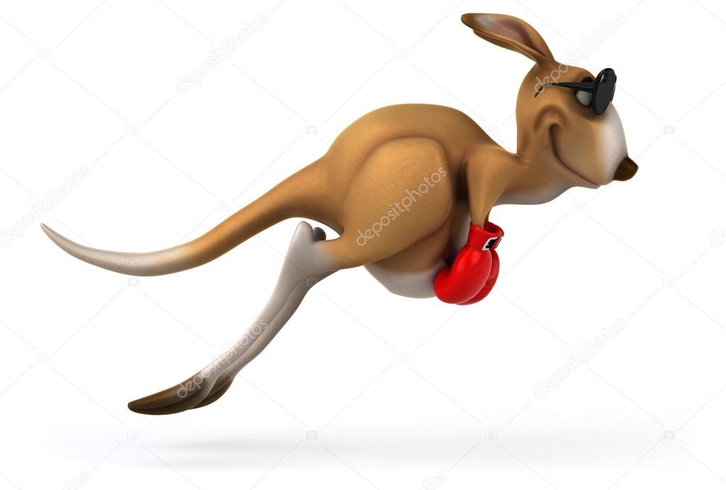 Fun kangaroo in boxing gloves — Stock Photo
