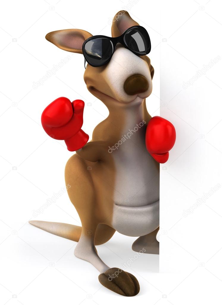 Fun kangaroo  in boxing gloves