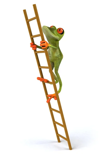 Fun frog with ladder — Stock Photo, Image